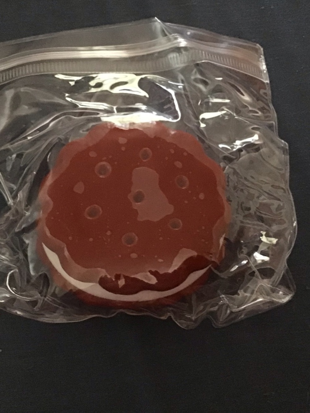 Large cookie squishy toy
